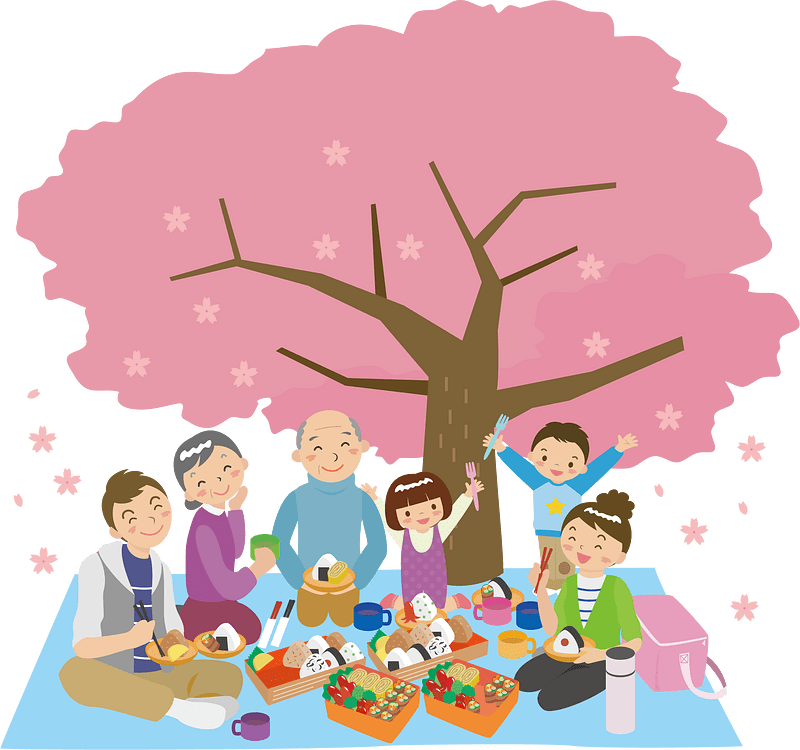Hanami Cherry Blossoms