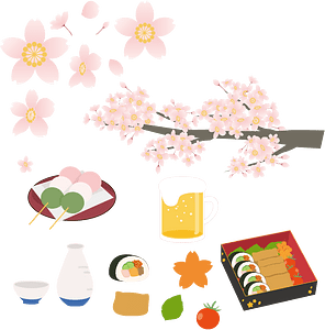 Hanami Cherry Blossoms
