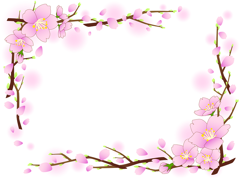 Cherry Blossoms Frame