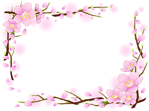 Cherry Blossoms Frame