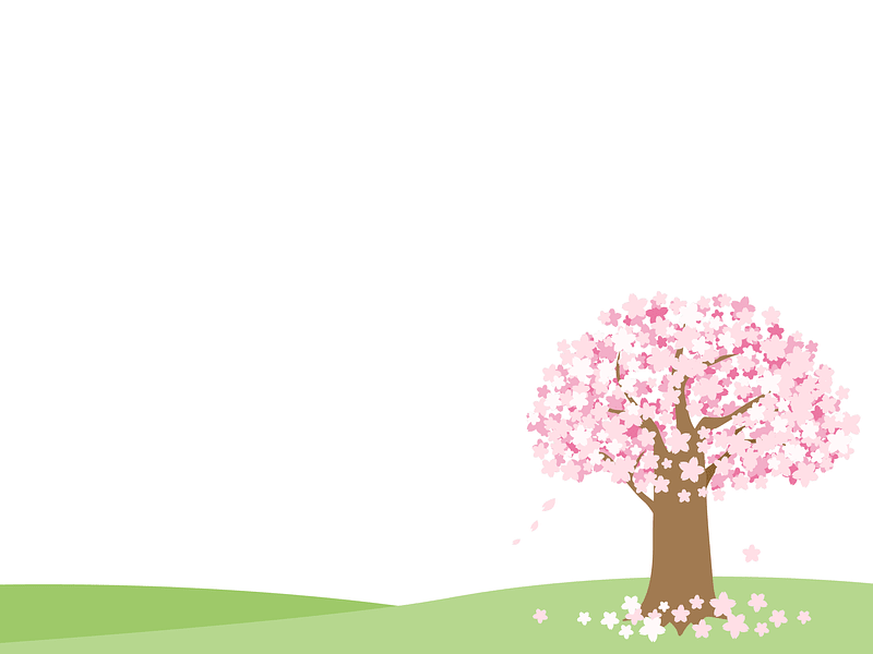 Cherry Blossom Tree