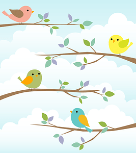 Birds Branch
