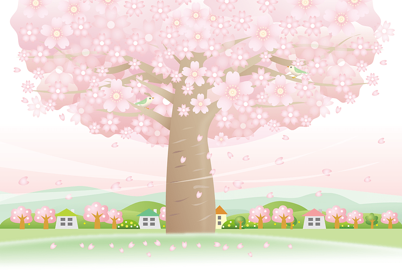 Cherry Blossom Tree