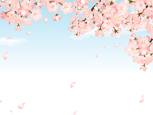 Cherry Blossoms Sky