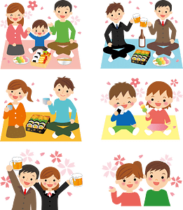 Hanami Cherry Blossoms
