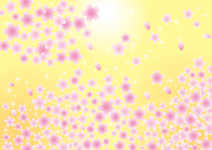 Cherry Blossoms