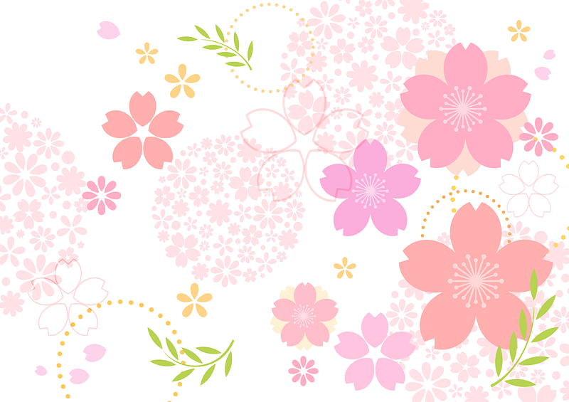 Cherry Blossoms Background