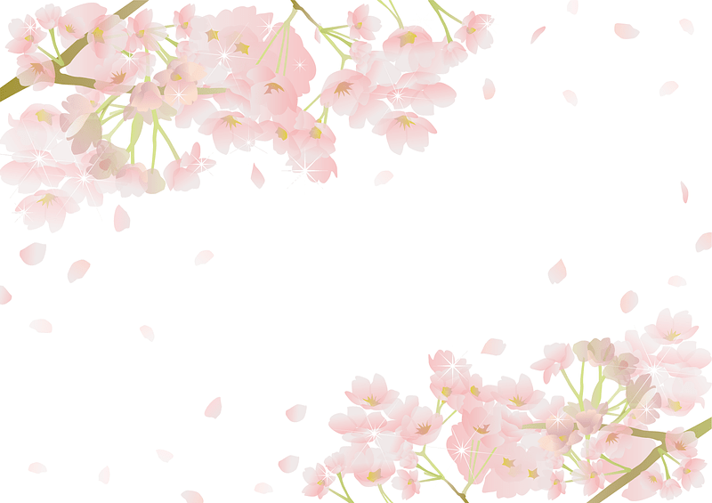 Cherry Blossoms Frame