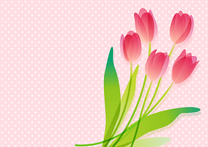 Tulip Background