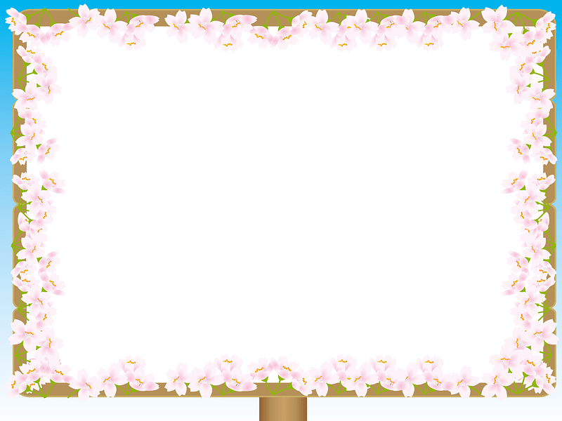 Bulletin Board Cherry Blossoms