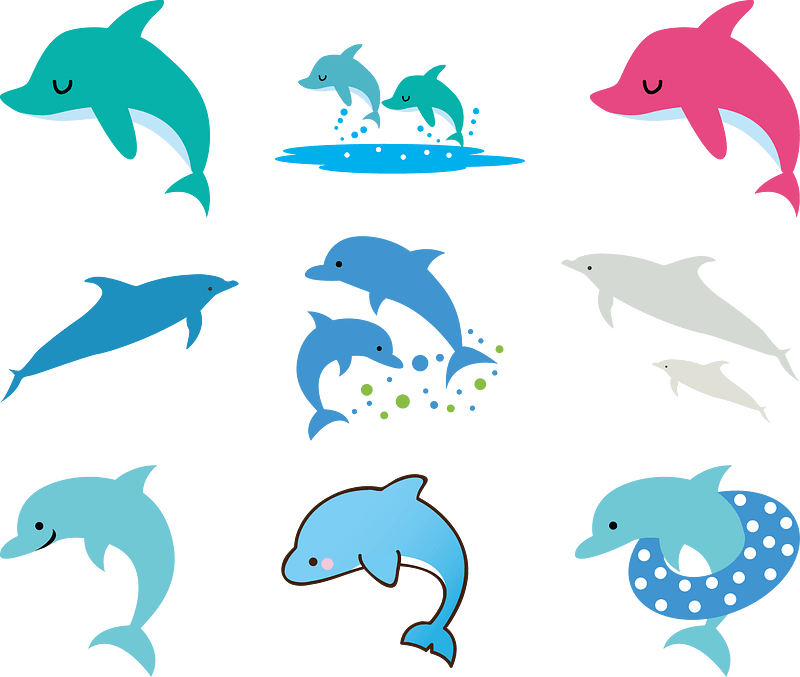 Dolphin Animal
