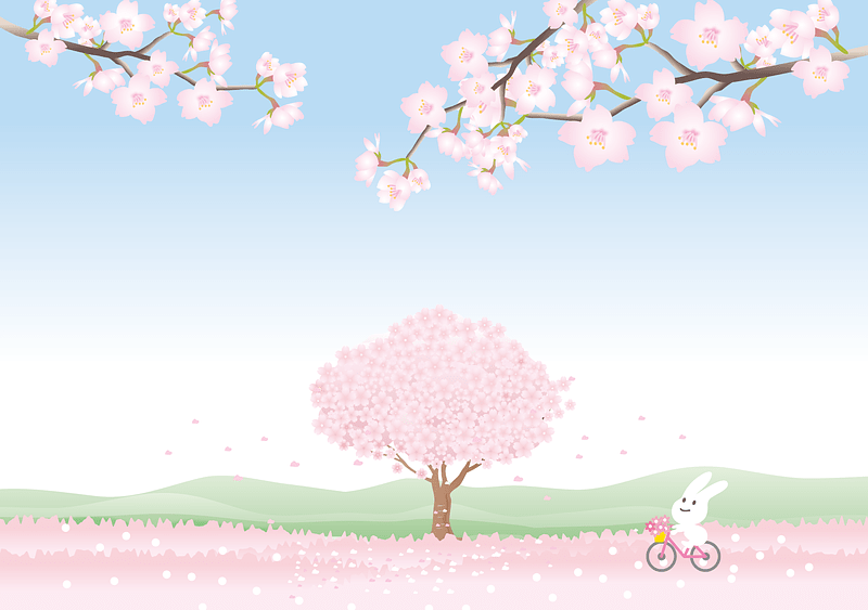 Cherry Blossoms Rabbit