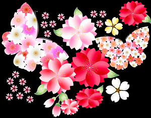 Sakura Butterfly