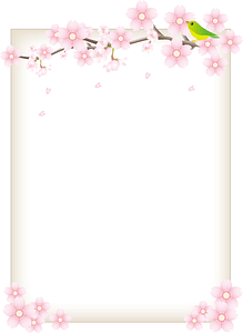 Cherry Blossoms Frame