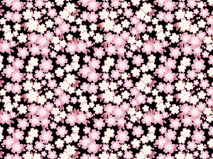 Sakura Background