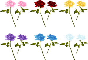 Rose Flower