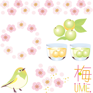 Japanese Apricot
