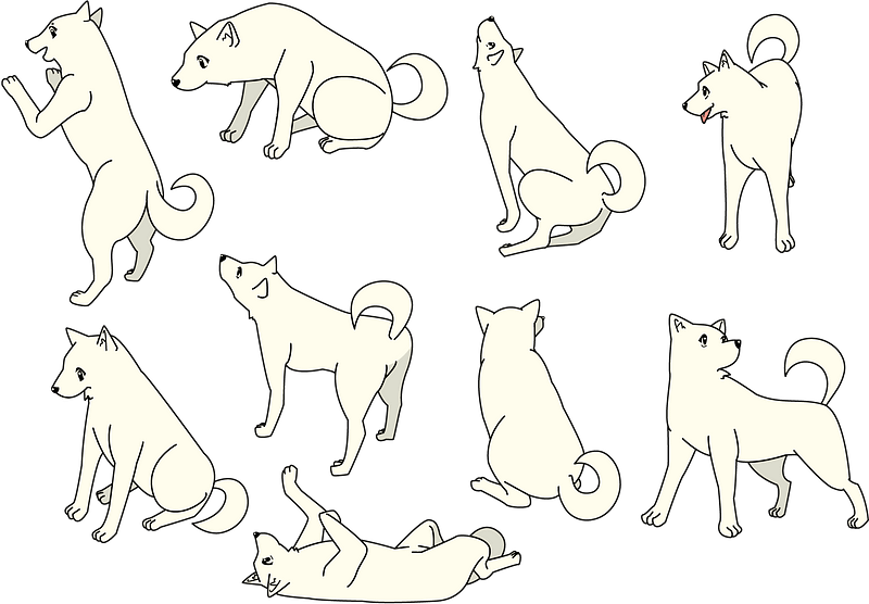 Dog Animal