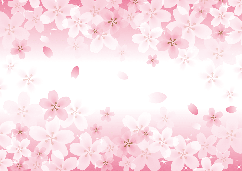 Cherry Blossoms Background