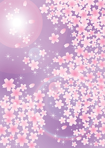 Cherry Blossoms Background