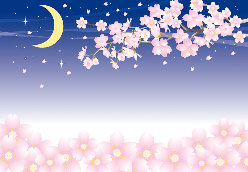 Cherry Blossoms Night