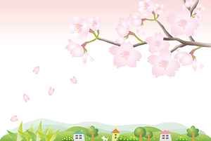 Cherry Blossoms Countryside