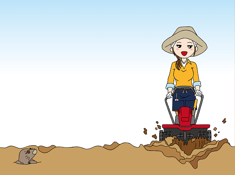 Agriculture Rotary Tiller