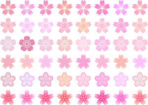 Cherry Blossoms