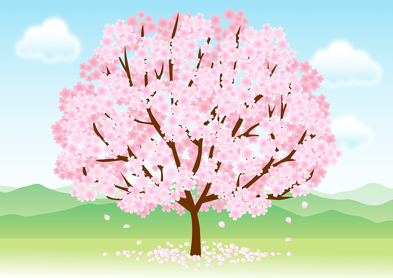 Cherry Blossoms Tree