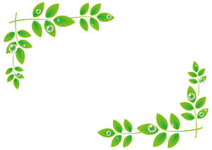 Leaf Frame