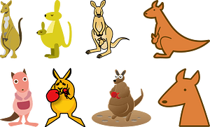 Kangaroo Animal