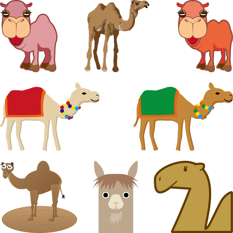 Camel Animal