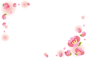 Peach Blossom Frame