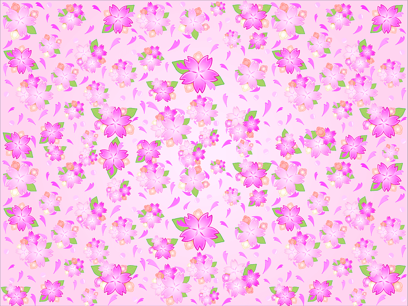 Cherry Blossoms Background