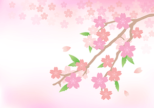 Sakura Spring