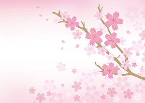 Sakura Background