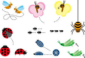 Insect Set