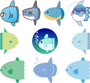 Ocean Sunfish