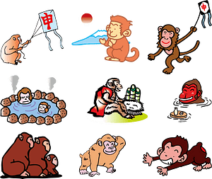 Monkey Animal