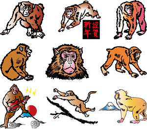 Monkey Animal
