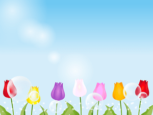 Tulip Blue Sky
