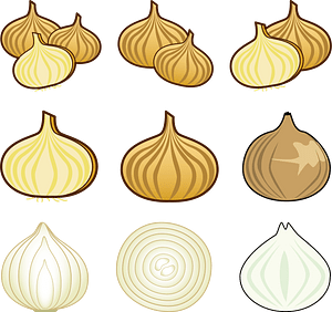 Onion Vegetable