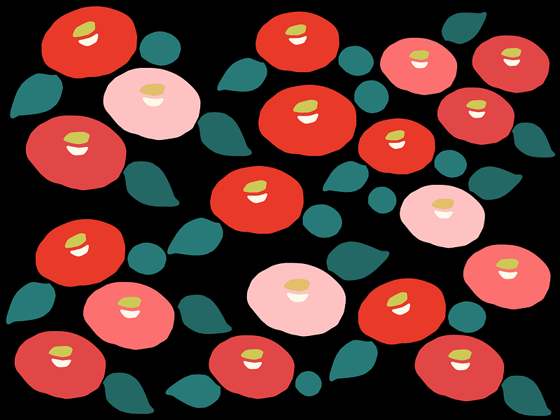 Japanese Camellia