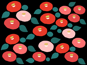 Japanese Camellia