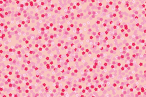 Sakura Background