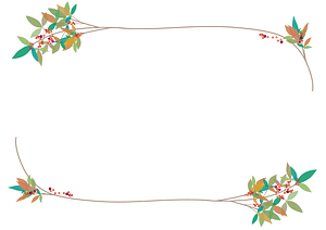 Nandina Frame