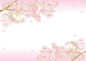 Cherry Blossoms Frame