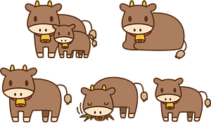 Beef Cattle
