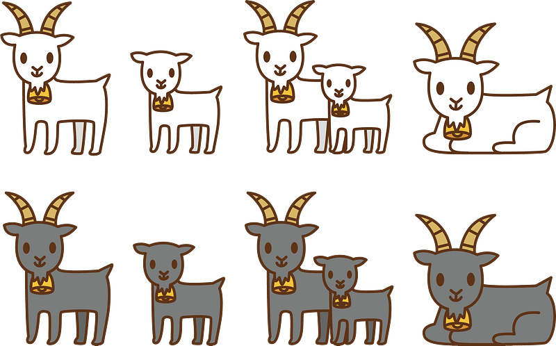 Goat Animal