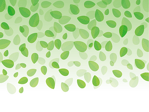Green Leaves Frame